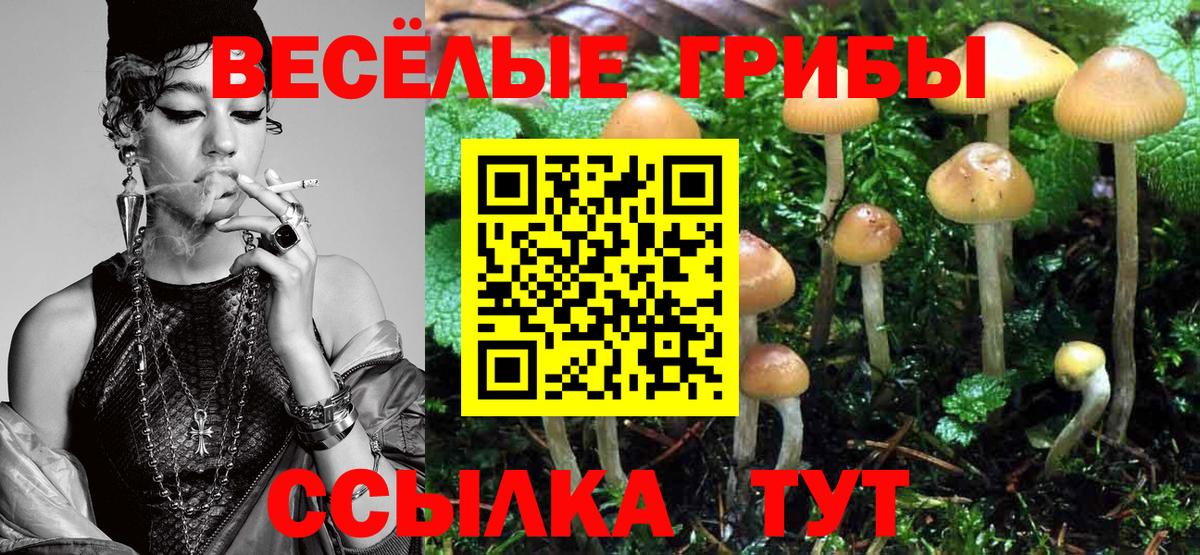 Псилоцибиновые грибы ЛСД Кисловодск