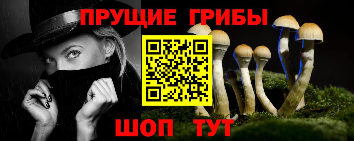 Галлюциногенные грибы прущие грибы  Вход с VPN  Кисловодск 